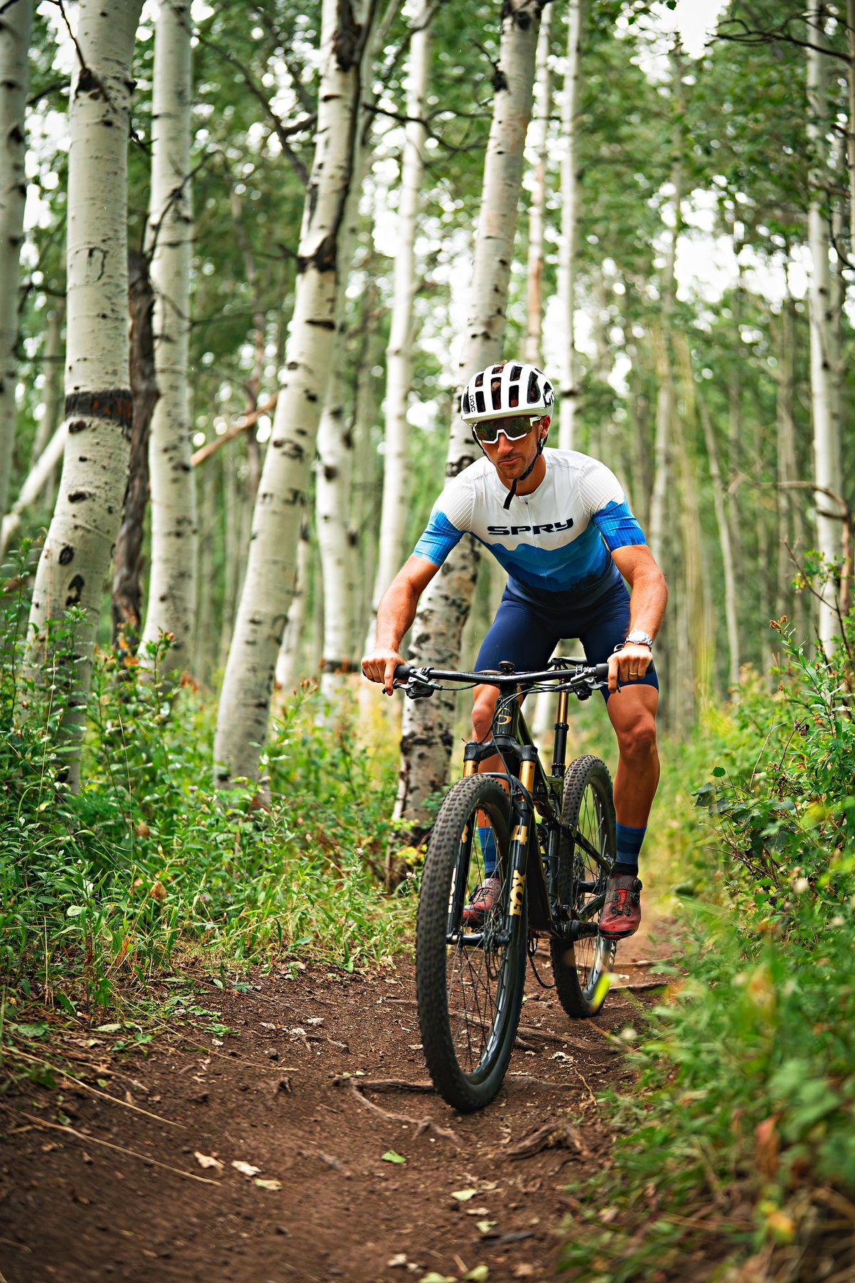 Rider on a black and gold Spry Centaurus on singletrack through aspens